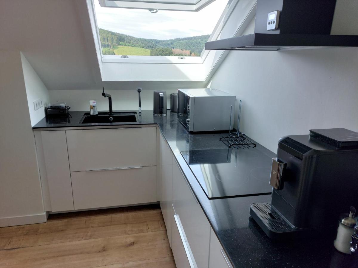 Ferienwohnung Suedhang Winterberg Ngoại thất bức ảnh